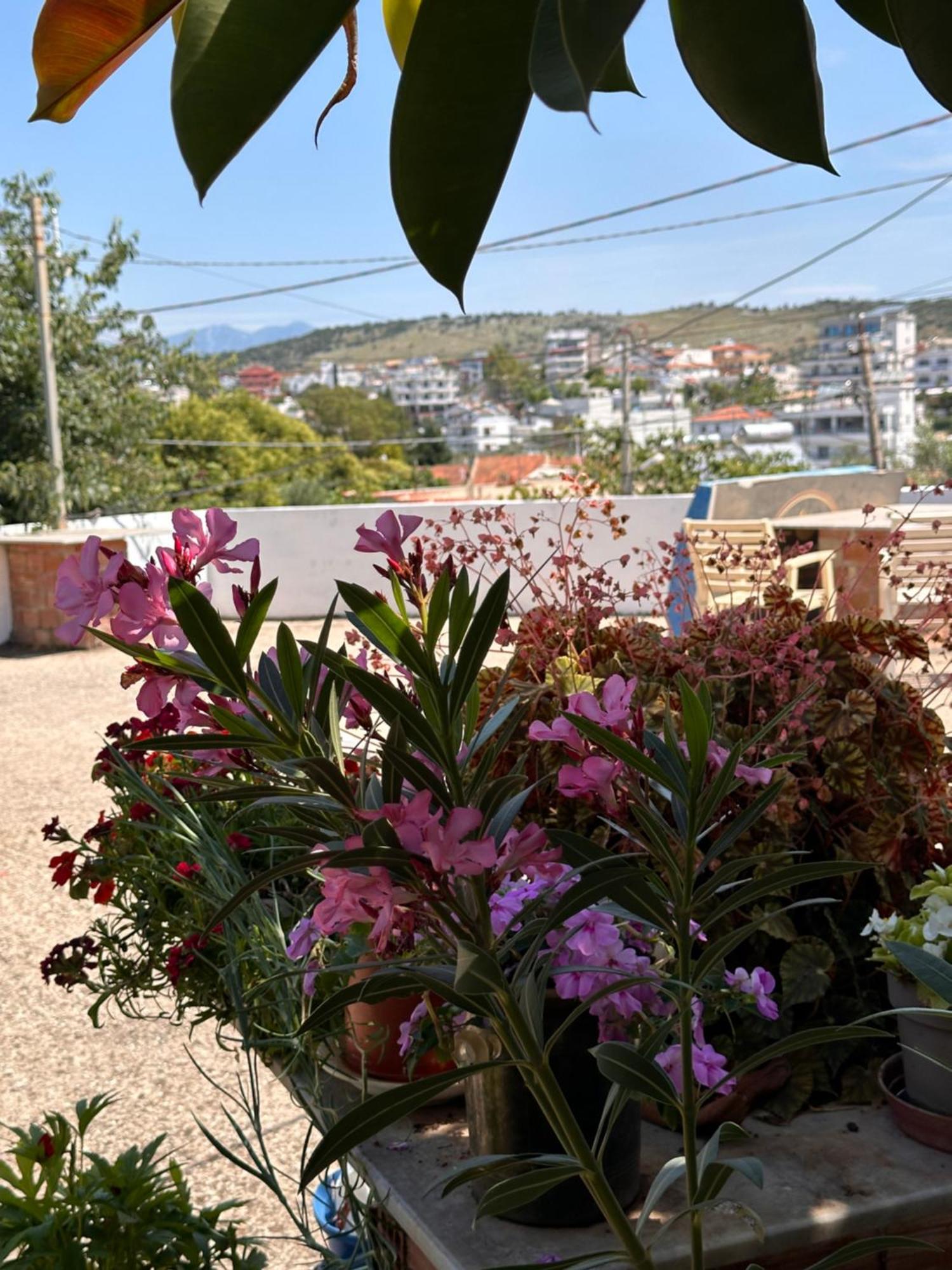 Albi'S Guesthouse Ksamil Exterior photo