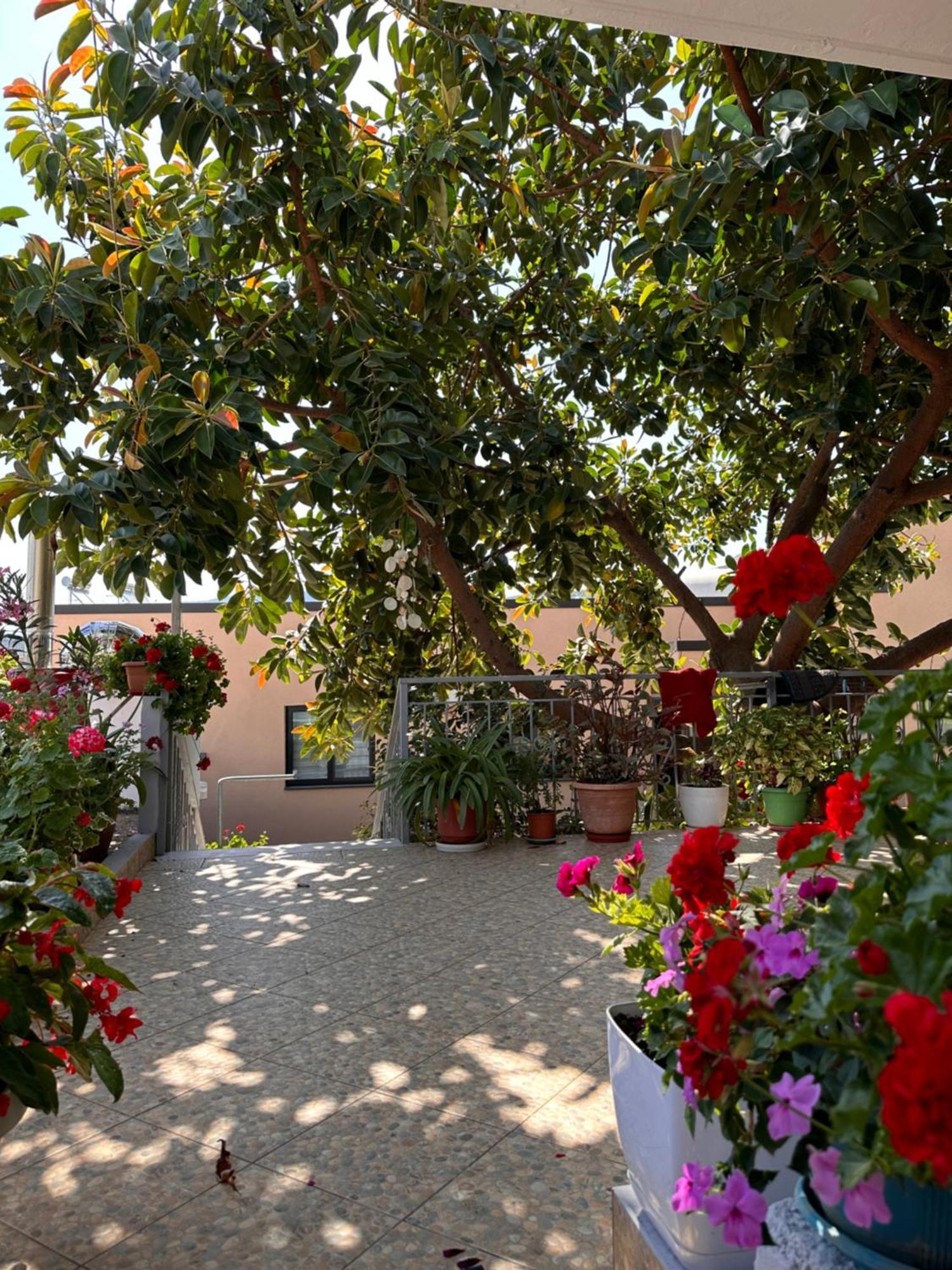 Albi'S Guesthouse Ksamil Exterior photo
