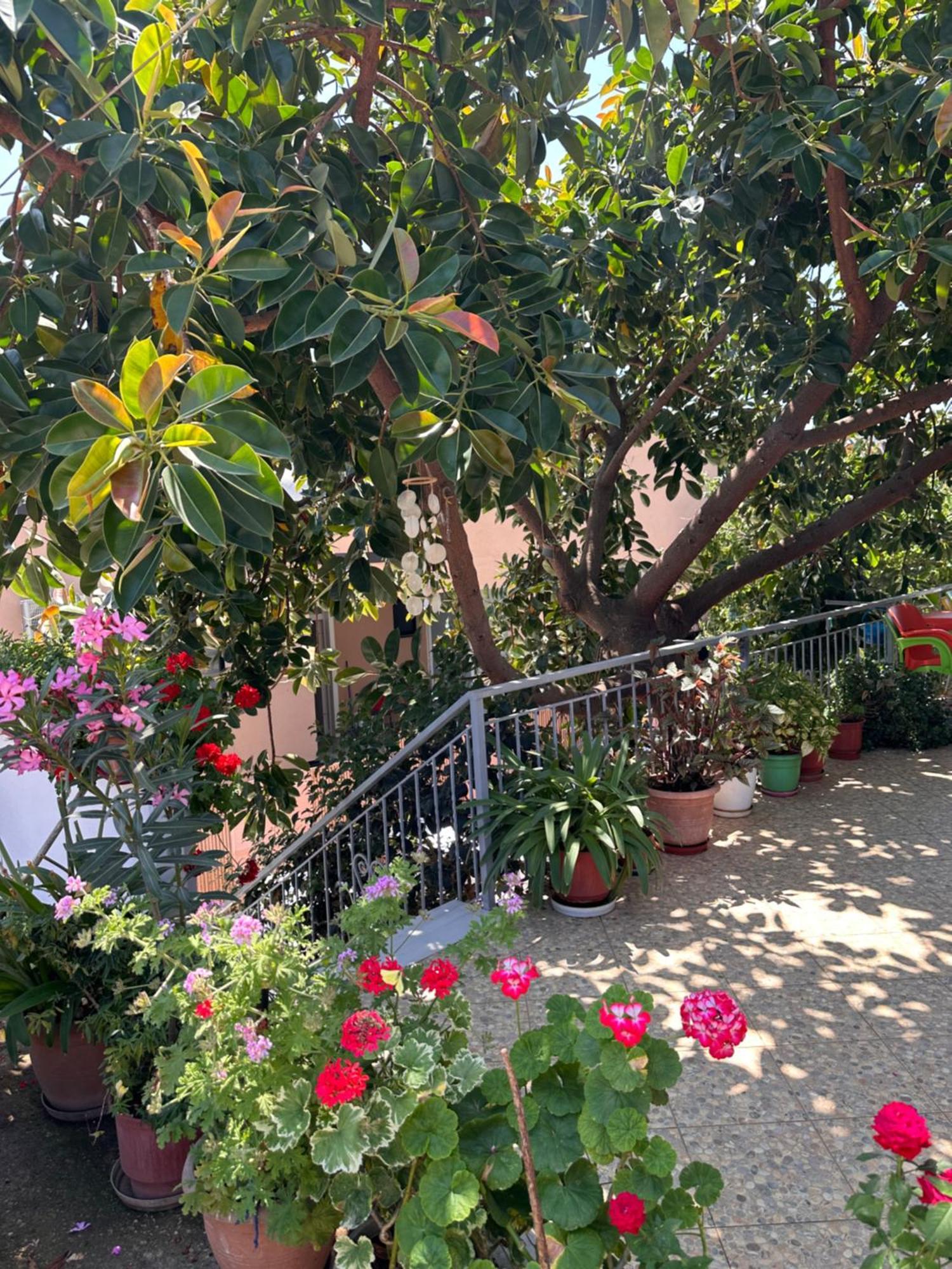 Albi'S Guesthouse Ksamil Exterior photo