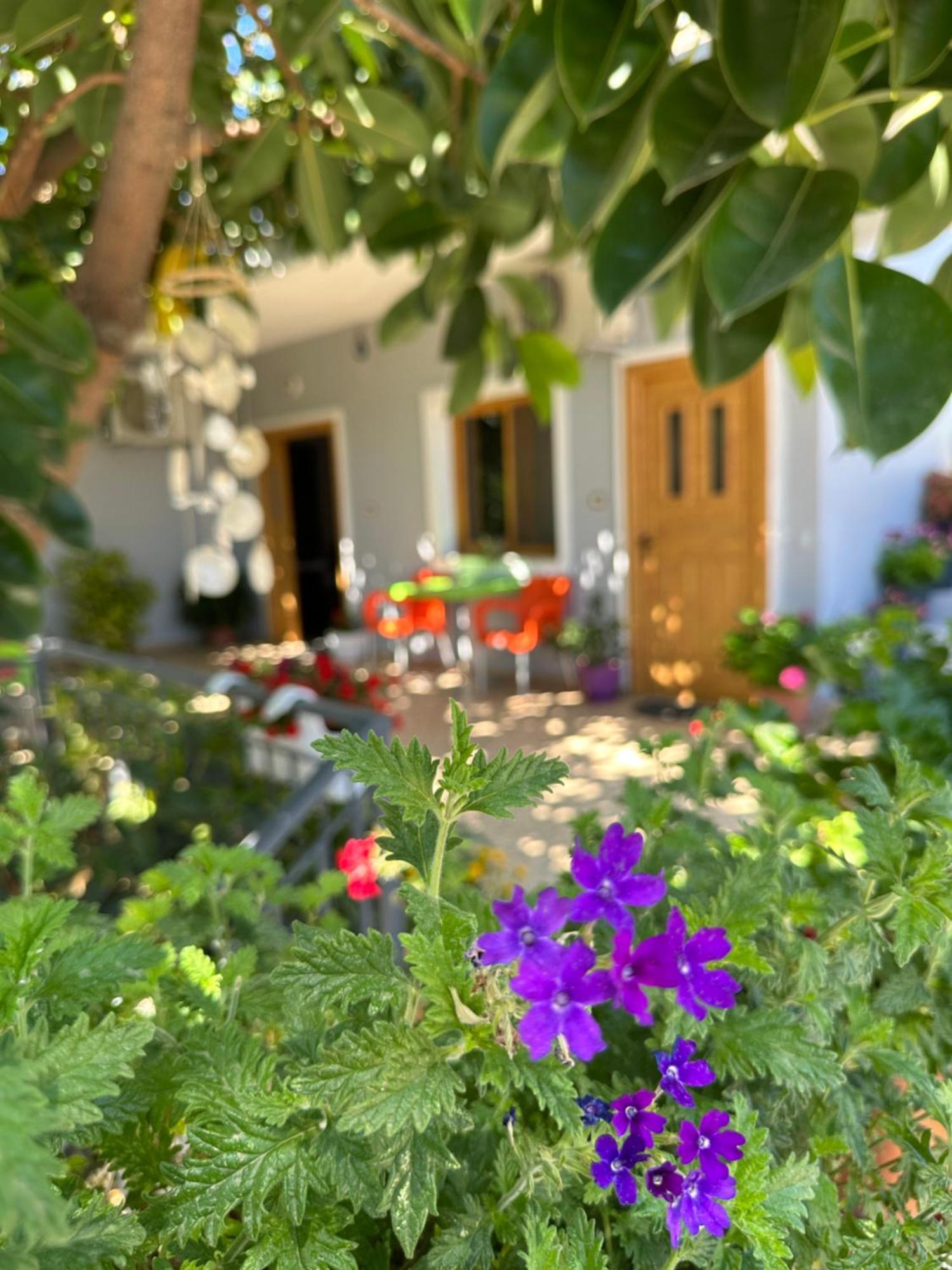 Albi'S Guesthouse Ksamil Exterior photo
