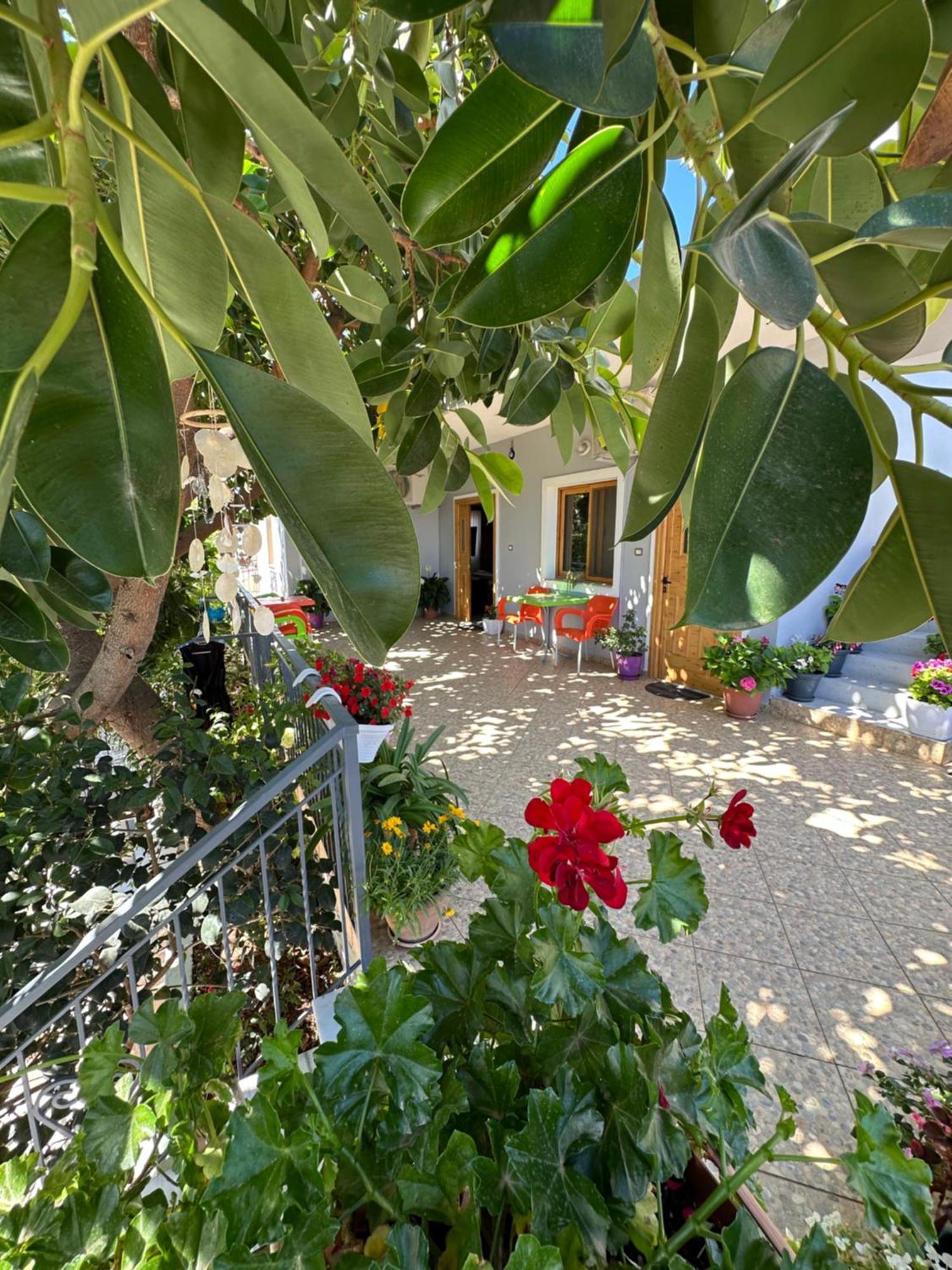 Albi'S Guesthouse Ksamil Exterior photo